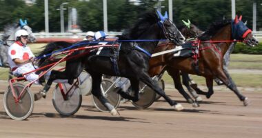 Ready, Set, Go Wild For The 2022 Harness Racing Season