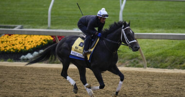 Best bets longshot picks 2023 Preakness Stakes, from play-ma.com